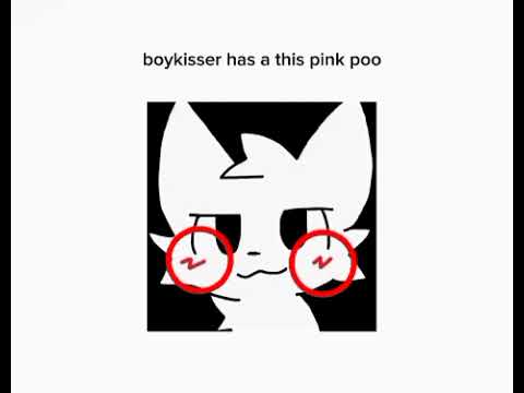 how to distinguish a boykisser from a silly cat