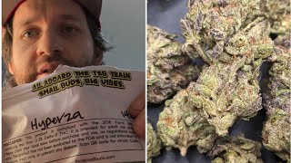 "Hyper Za" Thca Small Buds light assist had chunky hemp flowers