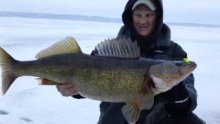Icefishgreenbay crushing big Door County Walleyes,Bret Alexander icing 10 pound walleyes,