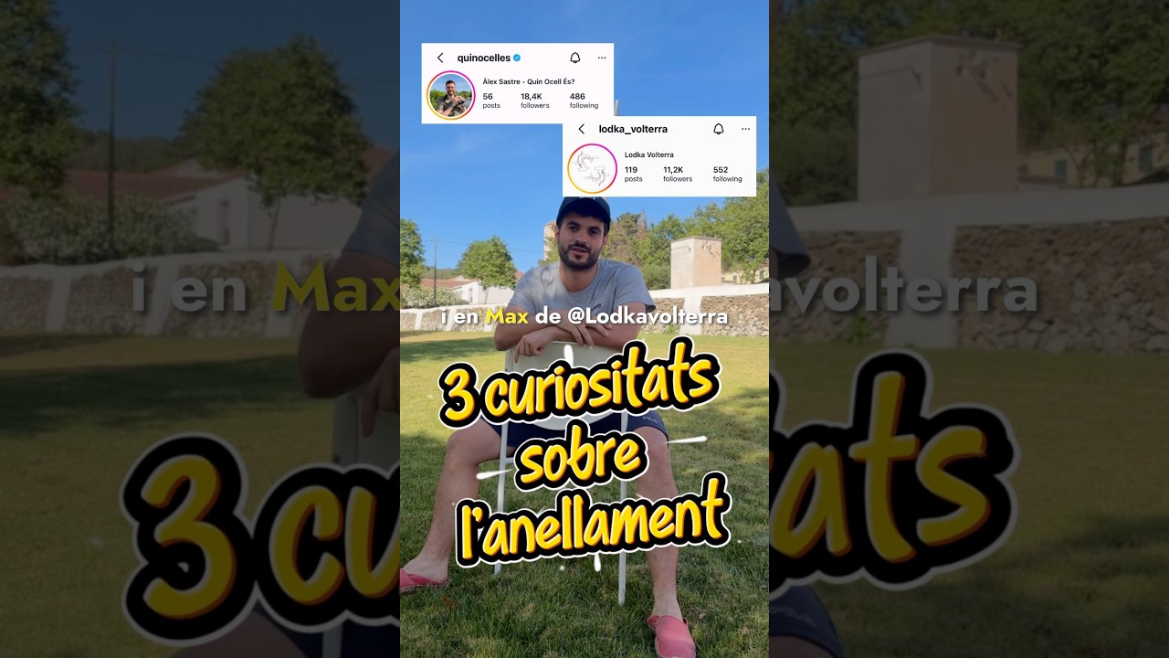 Ep! 3 curiositats sobre l'anellament d'ocells 🐦