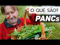 Plantas Silvestres Comestíveis (PANCs) | Na Mesa do Chef