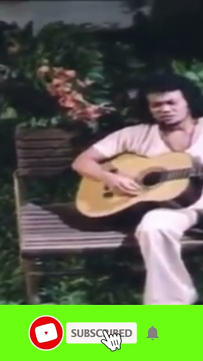 Rhoma Irama - Berkelana II (1978) #rhomairama #storywa #shortvideo