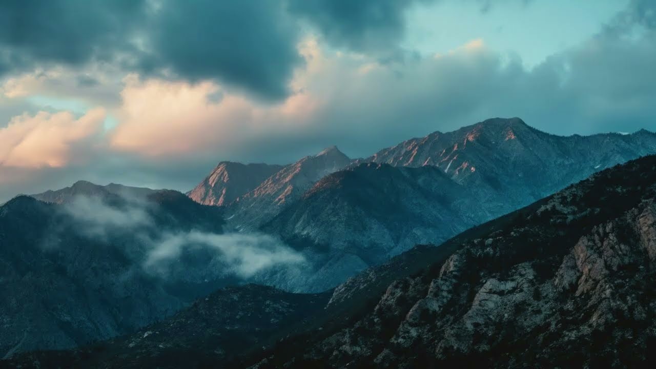 Но уже на следующий день к её дому приехала полиция…