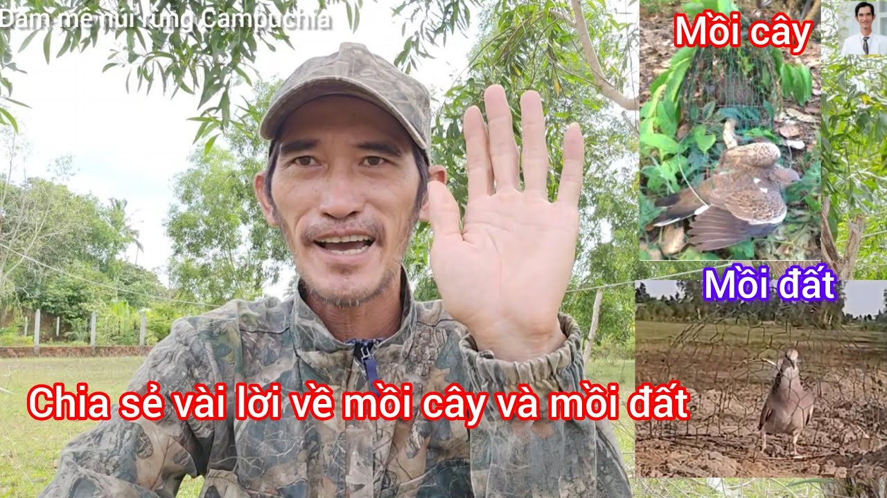 Đam mê núi rừng Campuchia- chia sẻ đôi lời về cu gáy mồi cây và mồi đất 