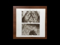 Morgan Fisher – Inside Satie | Releases | Discogs