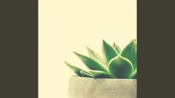 Scintillating Ambience for Summer Vacation