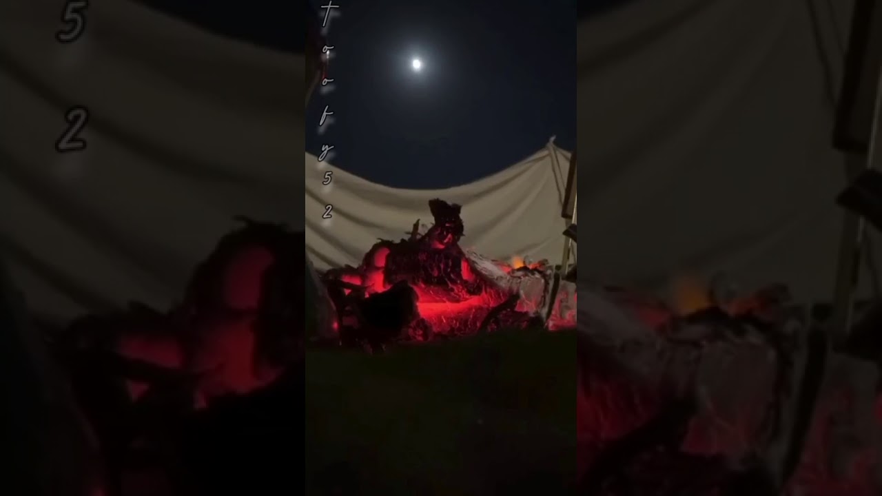 ساهرين Instagram Posts Photos And Videos Picuki Com