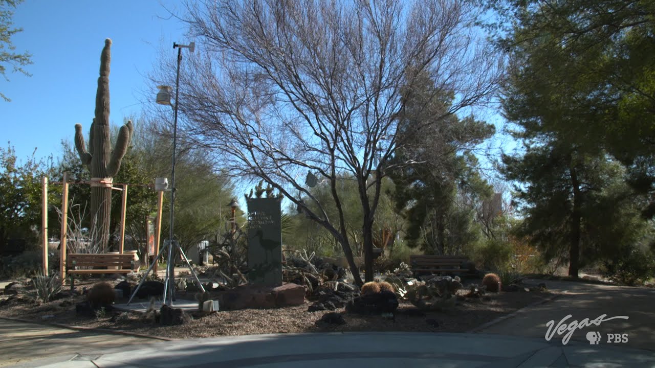 Hidden Oasis in Las Vegas: Exploring the Springs Preserve | Outdoor Nevada