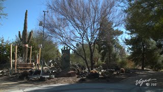 Hidden Oasis in Las Vegas: Exploring the Springs Preserve | Outdoor Nevada