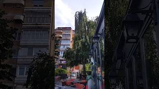 Prizren Ortakoll - caffe te banesa #ortakoll #prizren Prizren Ortakoll - caffe te banesa #ortakoll #prizren