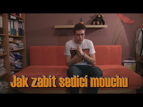 Video: Jak Náhubit Psa