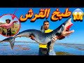 العيش الحر كليت سمك القرش القاتل المرعبة العيش الحر كليت سمك القرش القاتل المرعبة