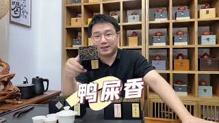 潮汕人都喝什么茶？这几款经典“平价”口粮茶，好喝又耐泡！