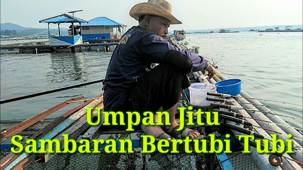 MANCING IKAN CIRATA,, LUMUT TUMPAH, UMPAN GELENG DADAKAN JITU JUGA