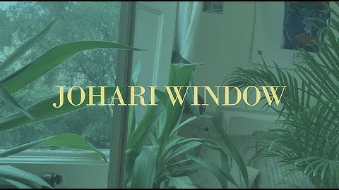 Sun Spot - Johari Window (Official Music Video)