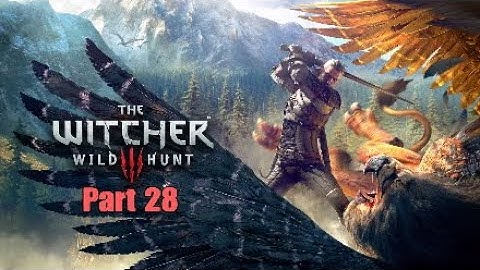 The Witcher 3: Wild Hunt Walkthrough Gameplay Part 28 [1080p PS4Pro] - No Commentary