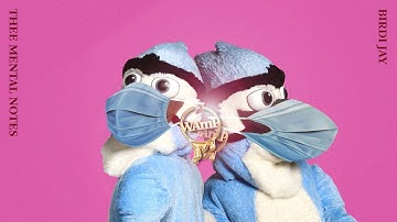 Birdi Jay - WAmP: Wear A mask Please feat. Thee Mental Notes [OFFICIAL]