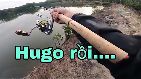 Câu cá chẽm Phước An - Jig lamdou chạm trán Hugo