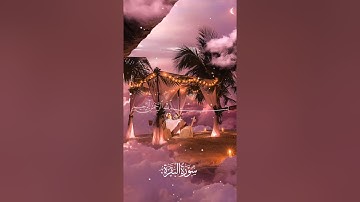 سورة البقرة - القارئ سعد الغامدي - تلاوة خاشعة - حالات واتس اب قرآن Quran ستوري انستا قرآن