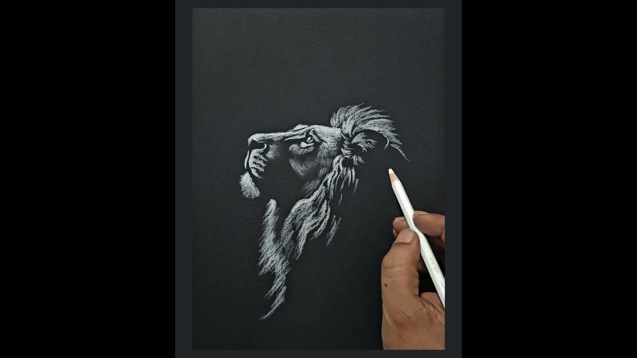 Lion Drawing on Black Paper art 🎨 artist sketch painting how-to draw 