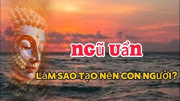 Ngũ Uẩn Làm Sao Tạo Nên Con Người? #đạolýnhânsinh #loiphatday #phậtgiáo #