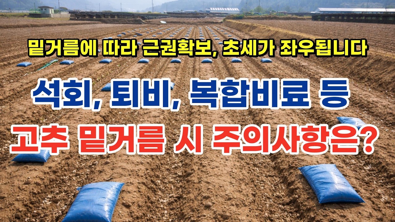 고추 석회, 퇴비 등 밑거름은 이렇게!! (더블윈, 엔텍, 하이그린과 함께)