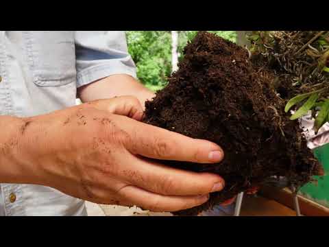 Video: Kompetentní Výběr Hnojiv Pro Zahradu