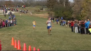 Trojans race to section cross country titles