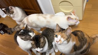 みんな集まってどうしたの？