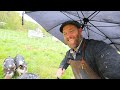 What Do Farm Animals Do in the Rain