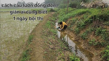 câu lươn đồng kết quả ko tưởng.đã vào mùa lươn ( PHÂN 1 )