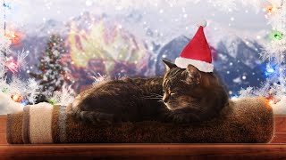 Christmas Ambience: purring cat, crackling fireplace, falling snow