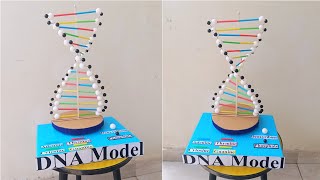 How To Build A 3D Dna Double Helix Model Easy School Science Project
