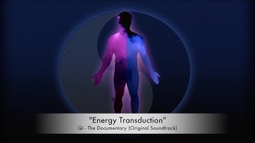 Energy Transduction | Qi – The Documentary | Jerome Leroy