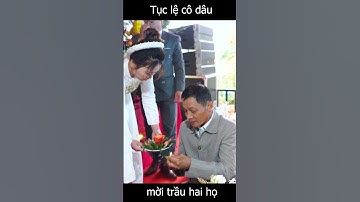 Tục lệ cô dâu mời trầu hai họ - phong tục cưới hỏi làng quê việt