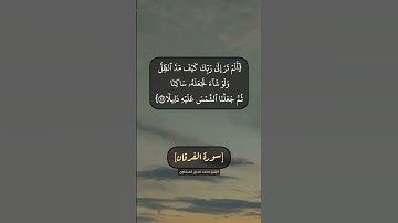 سورة الفرقان الآية ٤٤ الى ٤٧ بصوت الشيخ محمد صديق المنشاوي
