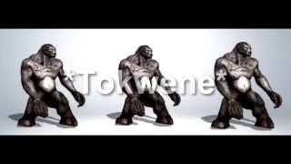 Tokwene - Mamuvona Tokwene (Video Oficial 3D)