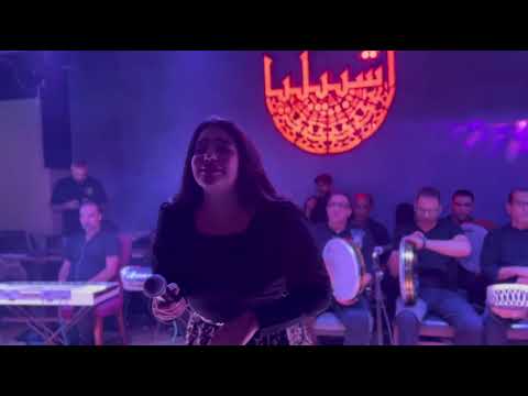 يارا الشافعي حفلات 