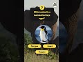Weird Animal Facts Quiz for Kids 🦊 How Much Do You Know?