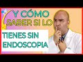 Actualizado 2021✅ :HELICOBACTER PYLORI Síntomas 👨‍⚕️(Principales) y cuándo❓ELIMINARLO💊