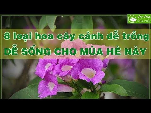 Video: Khu Vườn Mùa Đông Trang Trí Khu 8: Chọn Cây Cảnh Cho Mùa Đông Khu 8