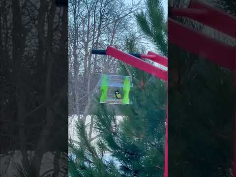 Годівниця для птахів підвісна дерев'яна Кольорова "Фламінго", видео 1