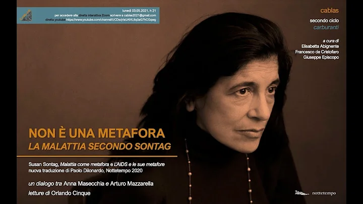 Non  una metafora. Susan Sontag