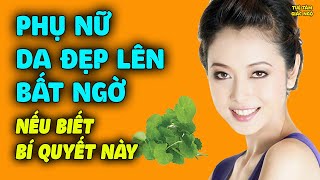 DA ĐẸP LÊN BẤT NGỜ Chỉ Vì Cây Rau Má, 3 Mẹo Làm Đẹp Siêu Tự Nhiên Khiến Nhiều Người Sung Sướng