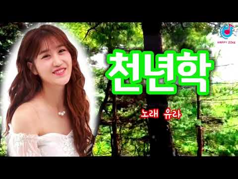 유라 김유라 천년학 트롯신이떴다2 작곡가정음 Mp3