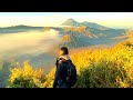 Mount bromo experience bromo tengger semeru national park experience