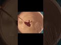 #icecream #yt #song #cookingshorts #yummy