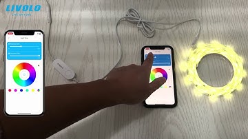 How to use Livolo Smart Wifi LED Light Strip  | control by APP Google Home Alexa