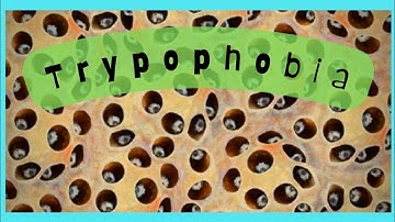 TRYPOPHOBIA TEST (pt2) Can you watch? 😳 #trypophobia #phobia