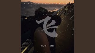 飞 (风浪没平息我宣告奔跑的意义)